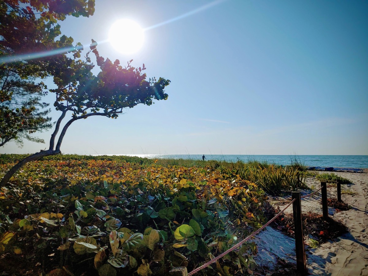 Sanibel Island: Salty Air and Sunshine