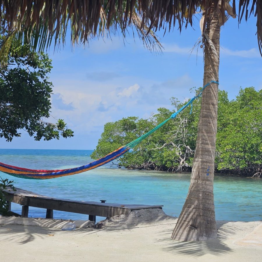 Global Kidchen: Travelling to Belize