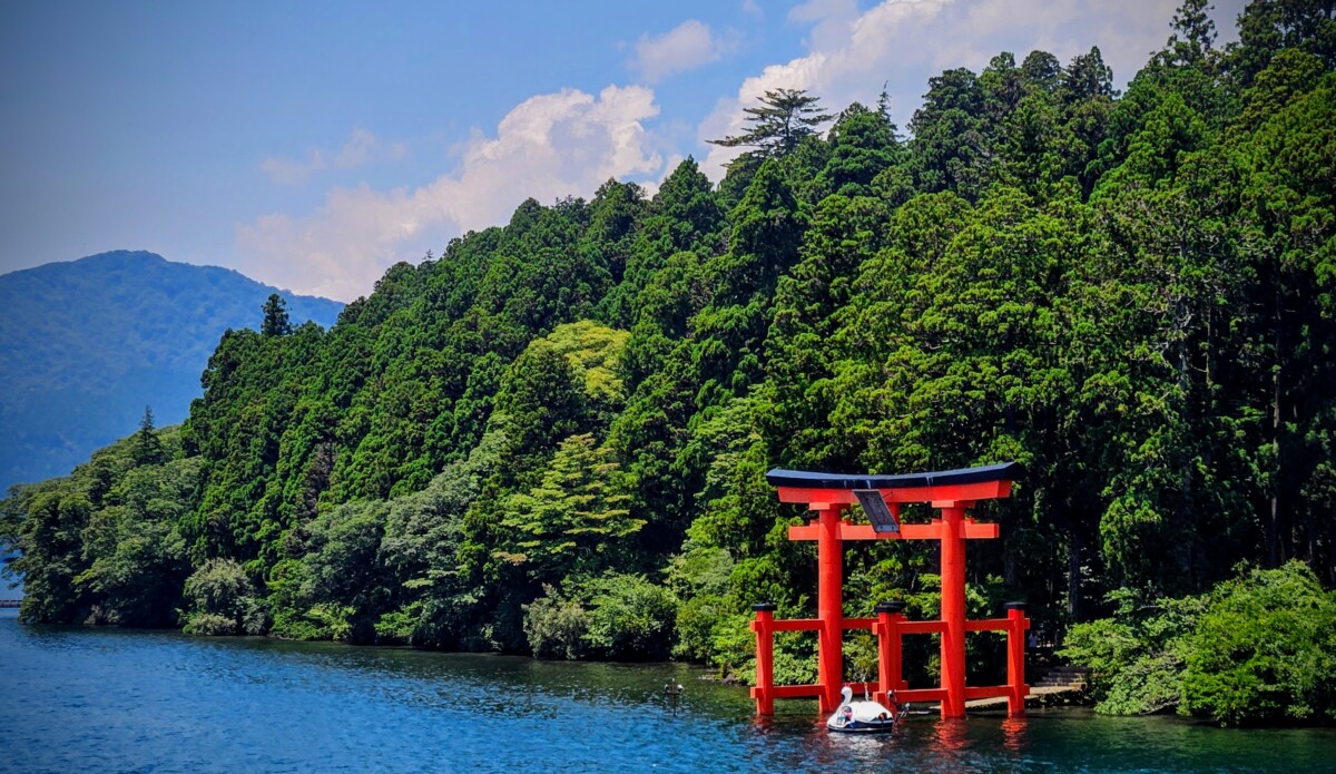 Hakone Onsen Experience: Ryokan, Forest Bathing & Day Trips to Nagoya and Osaka
